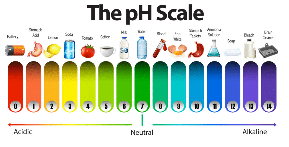 ประวัติความเป็นมาของน้ำด่าง